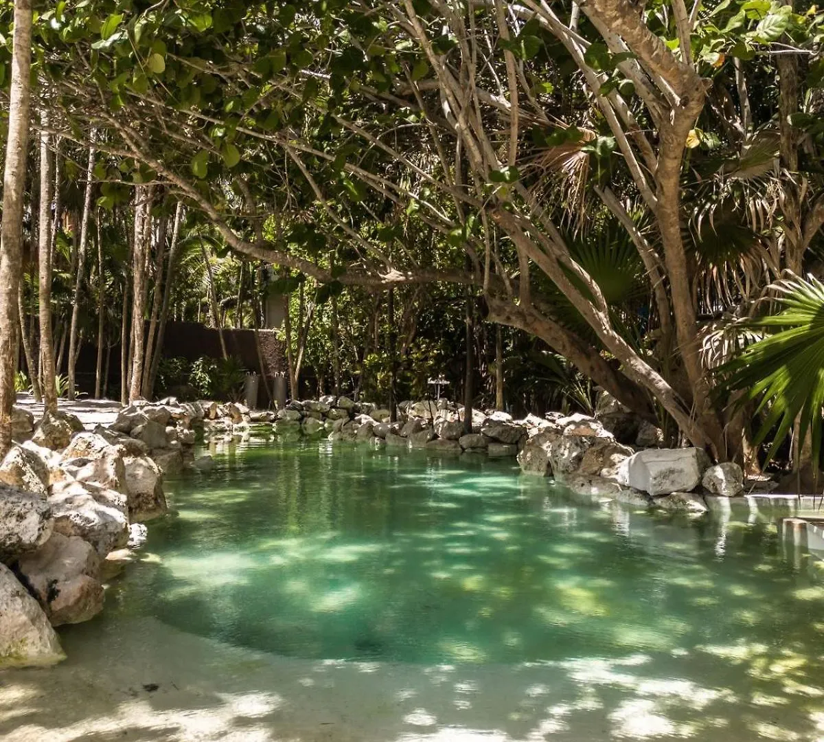 Niken Beachfront Tulum Hotel 4*,