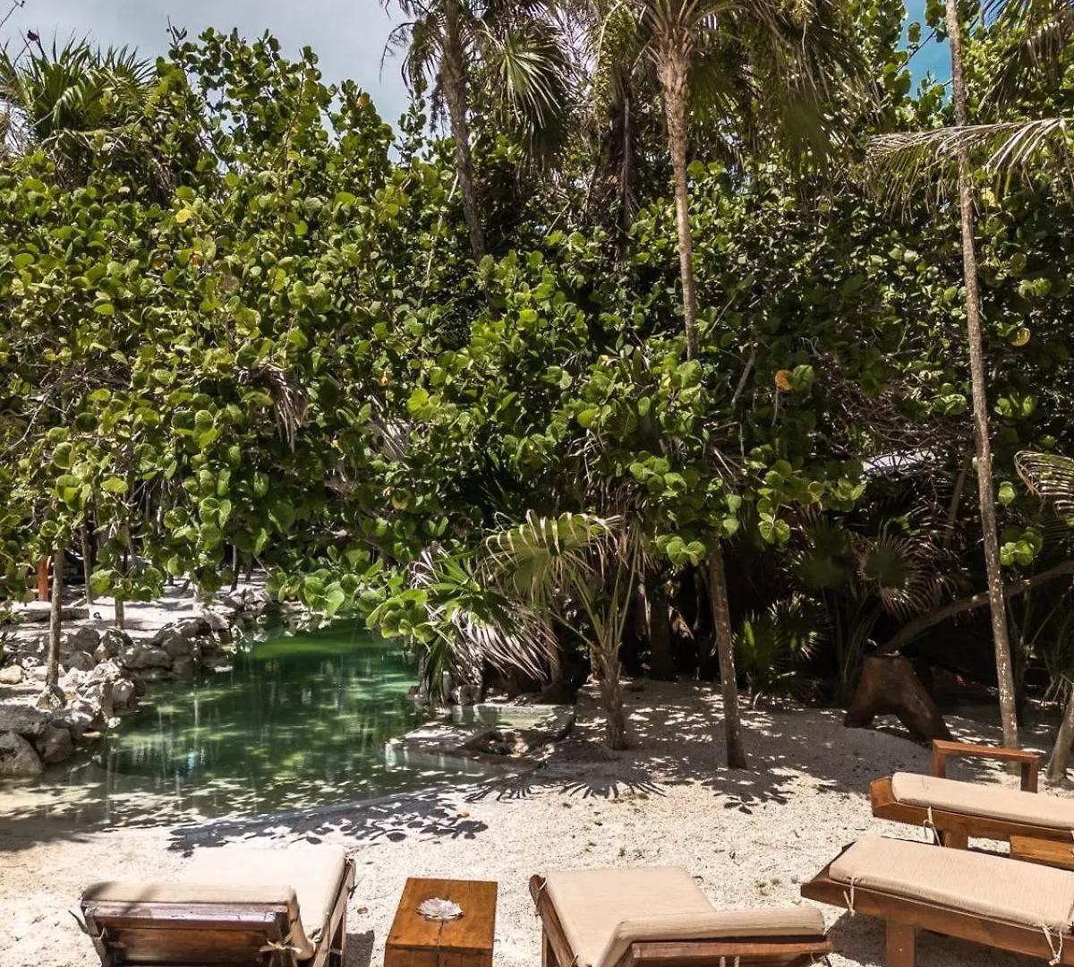 Niken Beachfront Tulum Hotel Mexico