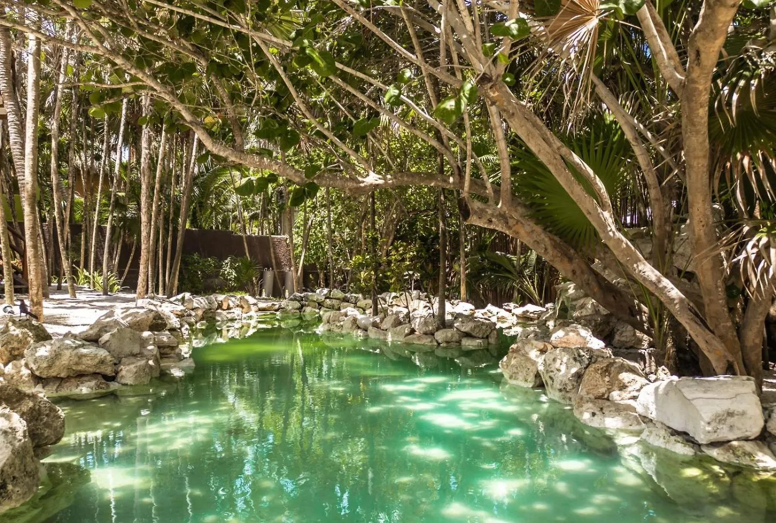 Niken Beachfront Tulum Hotel Mexico