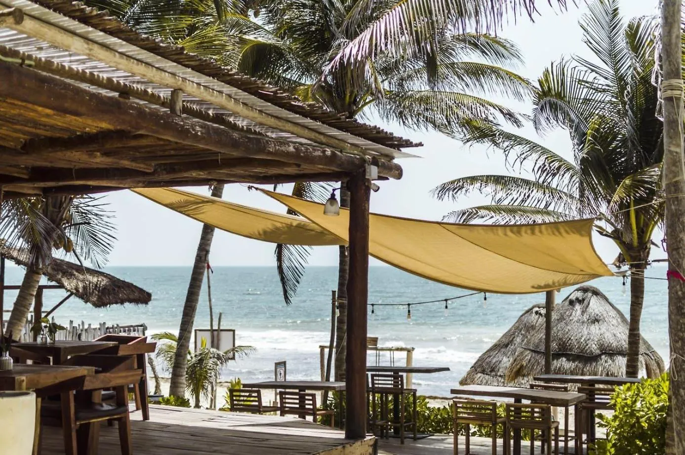 Niken Beachfront Tulum Hotel Mexico